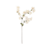 mytlebranch