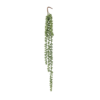 plantgreen