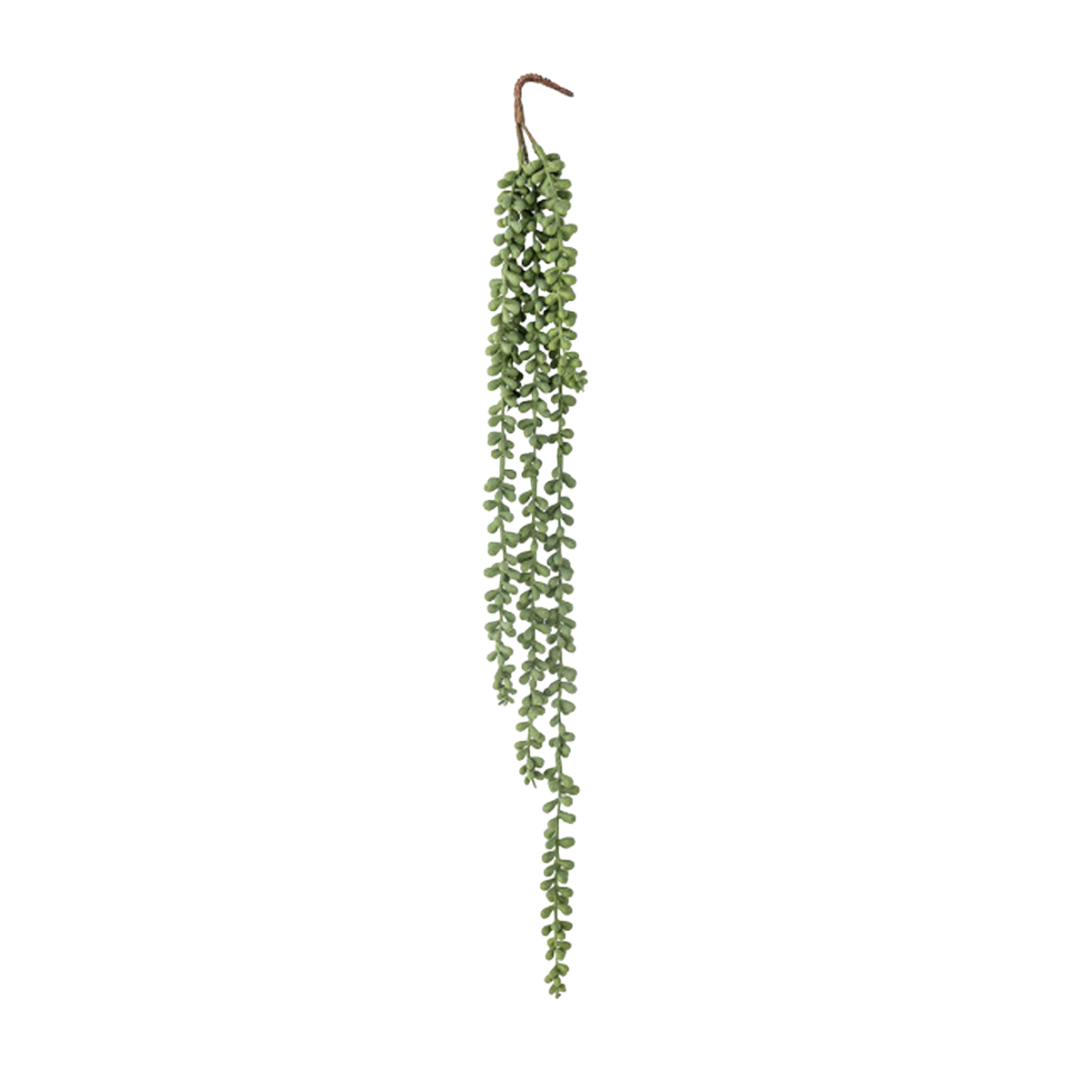 plantgreen