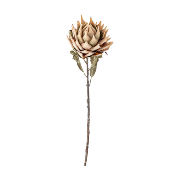 Protea Stem, Nature, Artificial Flowers