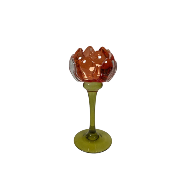 CANDLE HOLDER PROTEA S