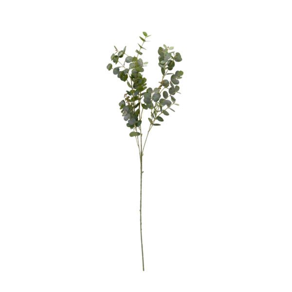EUCALYPTUS 103cm