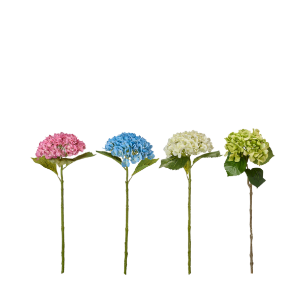 HORTENSIA Mix 60cm