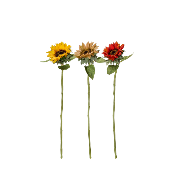 SOLROS Mix 70cm