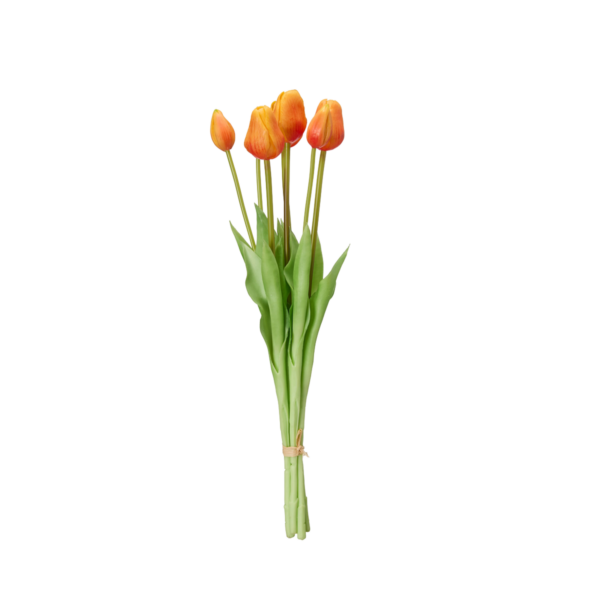 TULPANER Bunt Orange 47cm