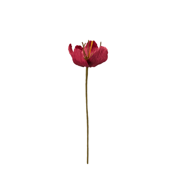 TULPAN Blomma Röd 16x75cm