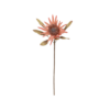 proteastem