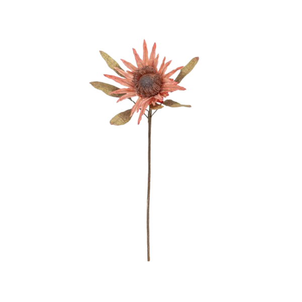 Protea Stem, Rose, Artificial Flowers