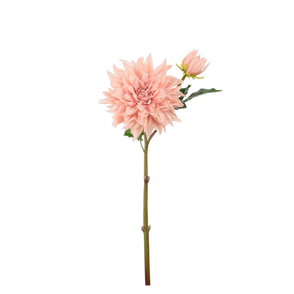Dahlia h70 cm Rosa