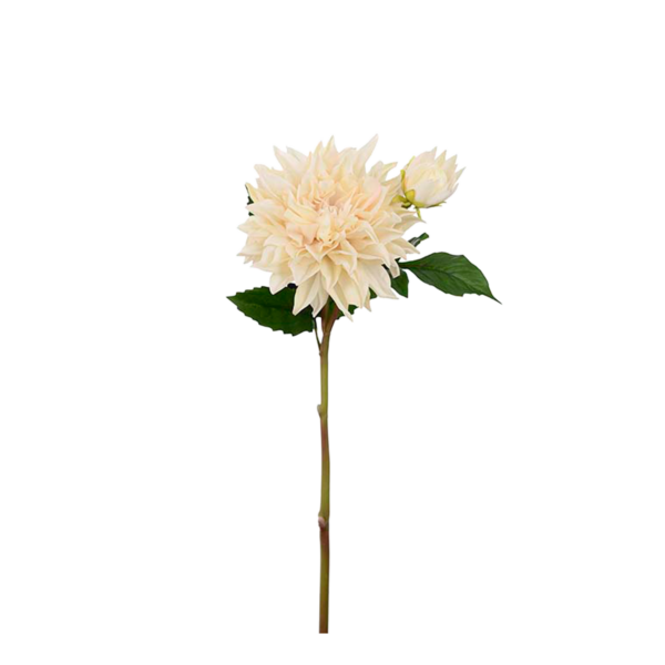 Dahlia h70 cm Vit