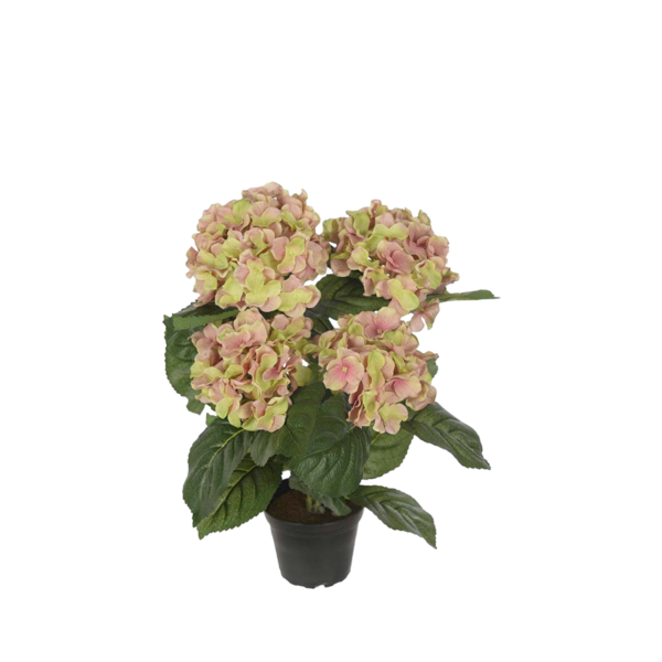 Hortensia h37 cm Beige