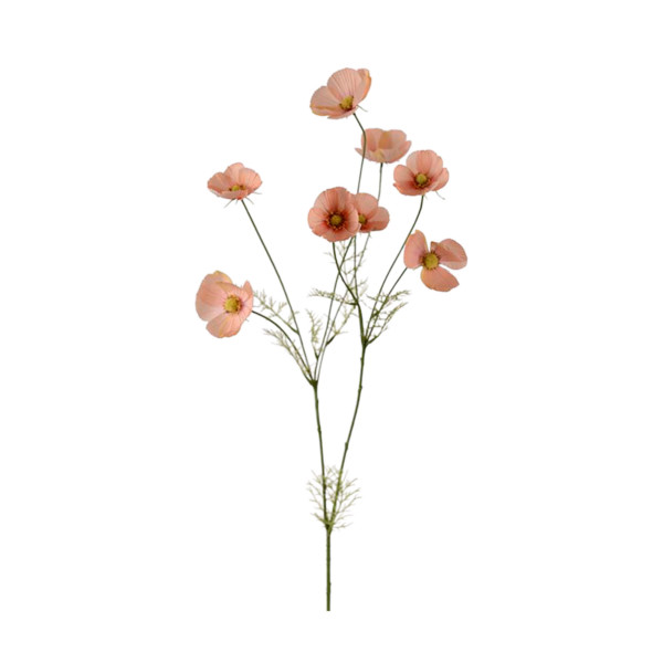Rosenskära h100 cm