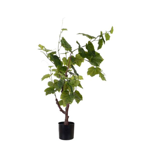 Vinstock h90 cm